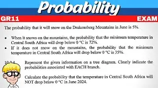 Probability Grade 11 Exam Questions
