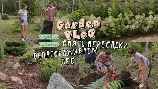 VLOG II Новые пересадки II Облагораживаем Лес
