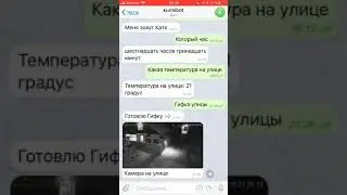 Тлеграмм и иоброкер