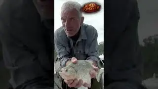 Piranha Bites Through Steel! | 