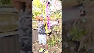 #archery #adventure #golf #fieldarchery #fitness #climbing #worldarchery #funny #beararchery