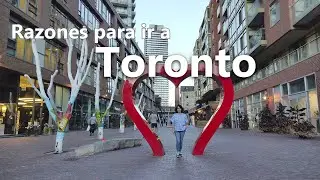 Razones para visitar Toronto
