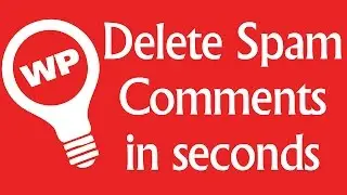 Delete All Spam Comments In Wordpress At Once