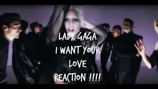 Lady Gaga I Want Your Love Reaction