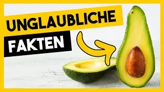 ▶︎ Unglaubliche Fakten Über Avocados
