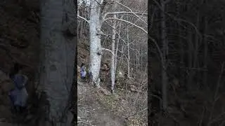 Посёлок Гузерипль(горная Адыгея) Скала Монах.