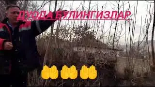дуода булингизлар азизлар