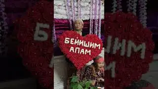 ЯНГИ АКАРАДИОН