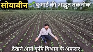सोयाबीन उत्पादन 20% बढ़ाने की शानदार तकनीक💯| varieties, sowing distance, seed rate | #soyabean