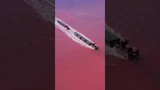 Бурлинское озеро