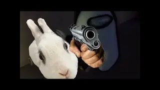 The Amogus Plague