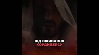 Купить кордицепс