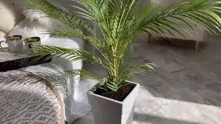 Пальма искусственная 100 см