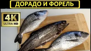 Дорадо и форель в одной сковороде. Простейший способ приготовить рыбку