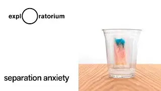 Separation Anxiety- Science Snack Activity