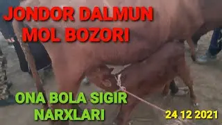 BUXORO JONDOR DALMUN JUMMA MOL BOZORI ONA BOLA SIGIR NARXLARI ЖОНДОР ЖУМА МОЛ БОЗОРИ