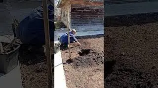 17 апреля 2024 г.