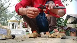 WOLFGARTEN RR-4000 pruner Unboxing