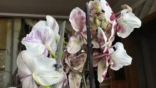 А у меня новинки! 😇