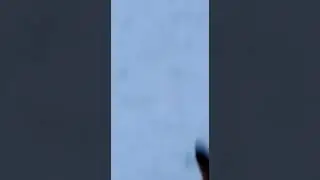 Лиса очень любит полакомиться рыбой