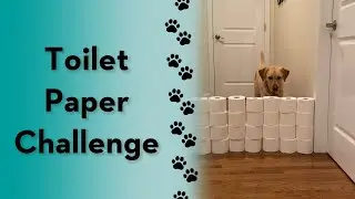 Level up challenge! 