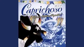 Viva a Cultura Popular