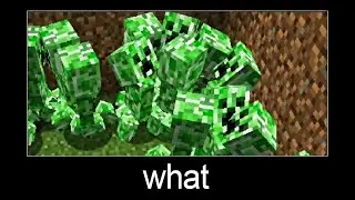 Oh no!!!! Cripper panic from the cat... Minecraft wait what meme part 3