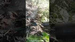 АСМР магия момента. Разогреваю чай на природе. (НЕ Повторять)