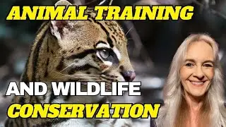 Animal Training and Wildlife Conservation