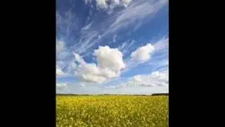 Todo o Tempo do Mundo