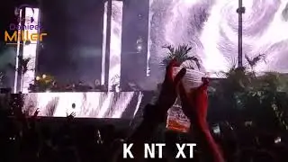 Alightment  Clip Mix/ Zamna CDMX/México 2023