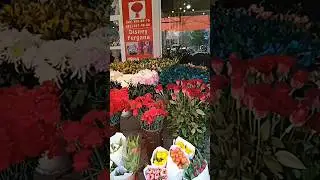 счастья вам !