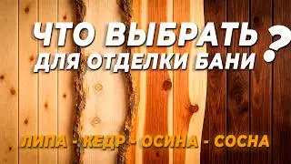 Bathhouse and steam room finishing | What to choose: linden or aspen, clapboard or unedged?