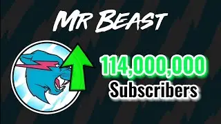 MrBeast Hitting 114 Million Subscribers! (Raw Footage) | Moment [230]