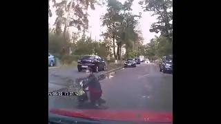 Смешные видио
