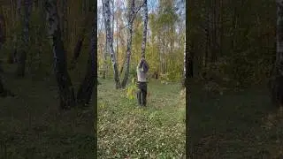 Восстановление ресурсного состояния  #перезагрузка #природа #осознанность #осень