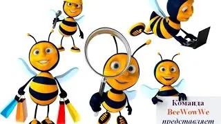 Презентация обновленного макретинг плана компании IWowWe от команды BeeWowWe