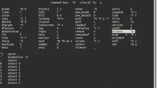 gnu screen basic demo