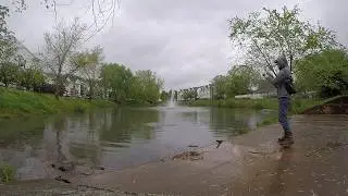 Small pond surprise