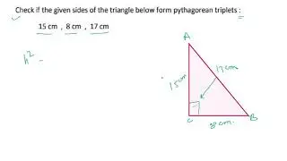 with given side of triangles,check whether they form pythagorean triplets.