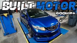 DUSTY IS BACK AND BETTER! FULLY BUILT 9TH GEN!