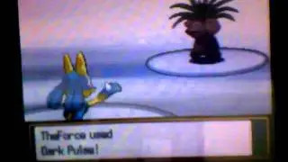 Pokemon Soul Silver/Heart Gold Battle #9 vs Some serebii dude