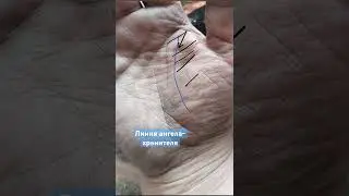 Людей с этой линией защищают высшие силы #хиромантия