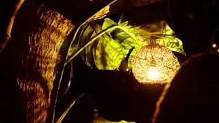 Fotos em Sítio em Salvador