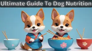Complete Dog Nutrition Guide All Dog Owners MUST WATCH NOW | GemmiYup