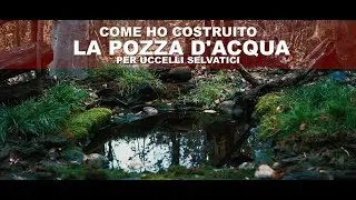 La mia OASI - La pozza d'acqua per birdwatching | TELO BUCATO? Ecco come ho risolto!