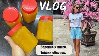 Врення з манго. Трішки обновок.
