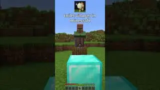 toilet villager in minecraft 🚽💀
