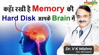 कहाँ रखी है Memory की Hard Disk आपके Brain में