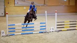 Horse jumping in slow motion 300fps (Norsk Kaldblodstraver, Norwegian Coldblooded trotter)